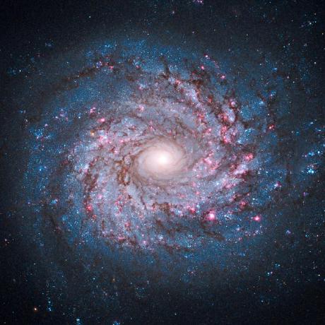 Phucle03 L Ho Ng Ph C Github - Full HD Geometric Patterns for Desktop