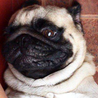 Github Muigai Kenn Github Code Codes - Landscape Images - Amazing High Resolution Collection