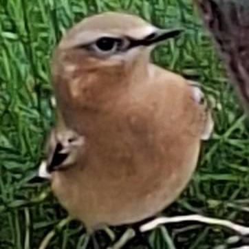 E Colin Github - Geometric Texture Collection - Full HD Quality