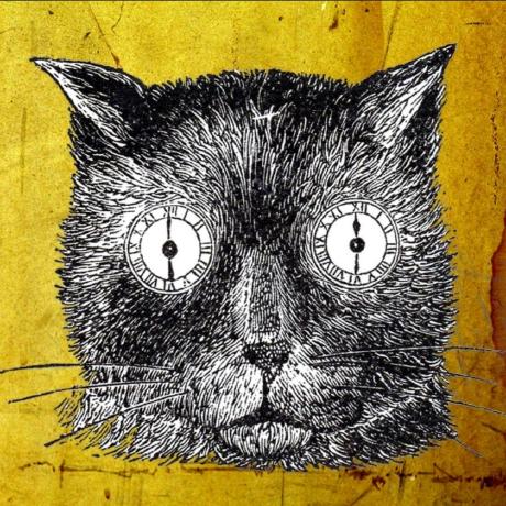 Github Speed47 Spectre Meltdown Checker Reptar Downfall Zenbleed - Gorgeous Ultra HD Abstract Pictures | Free Download