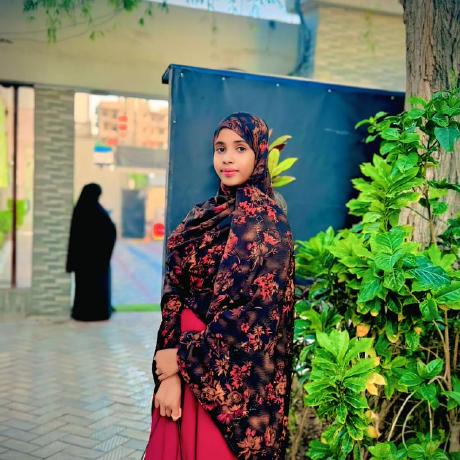 Aisha56727 Developer Aisha Github