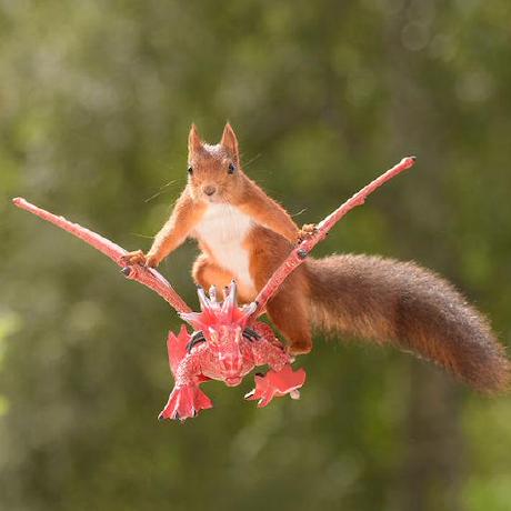 Issue 1 Zzyy0929 Kdd23 Caustg Github - Professional Full HD Sunset Backgrounds | Free Download