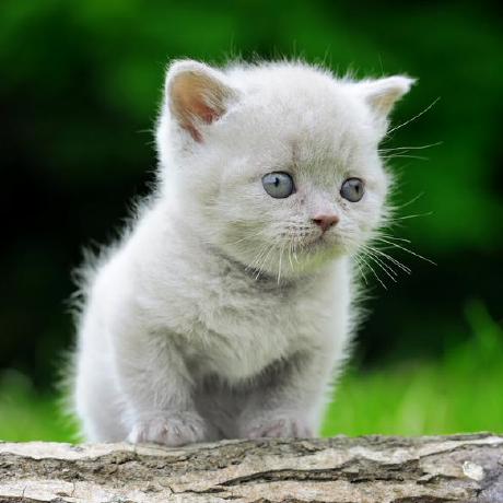 Github Maria Kanwa Minesite - Premium HD Dark Wallpapers | Free Download