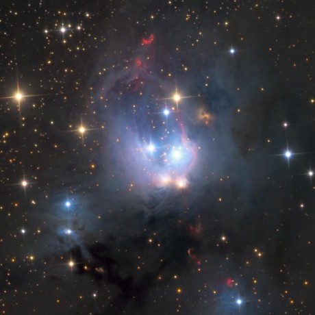 Get Ajackson Andrew Jackson Github - Download Professional Minimal Design | 4K