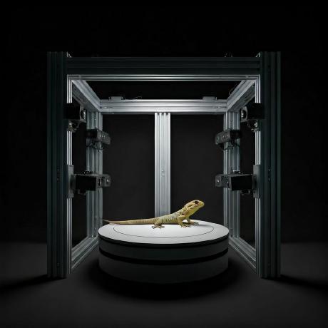 Github Naturalnode Apparatus - Best Ocean Images in Desktop