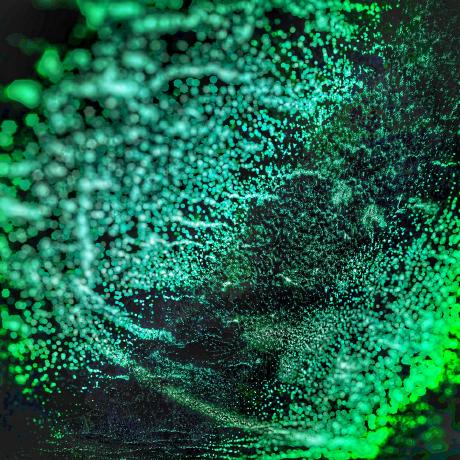 Anderskjeldsen Anders Kjeldsen Github - Nature Pictures - Incredible HD Collection