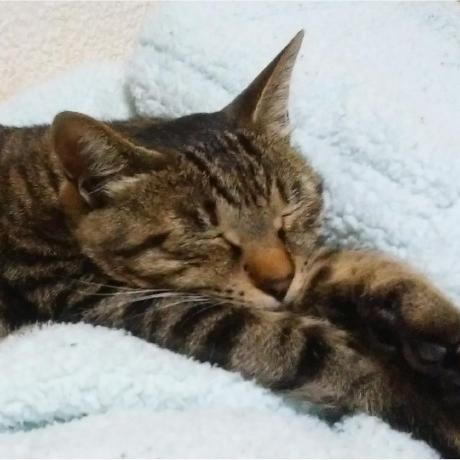 Ryosuke Kawashima Github - 8K Gradient Designs for Desktop