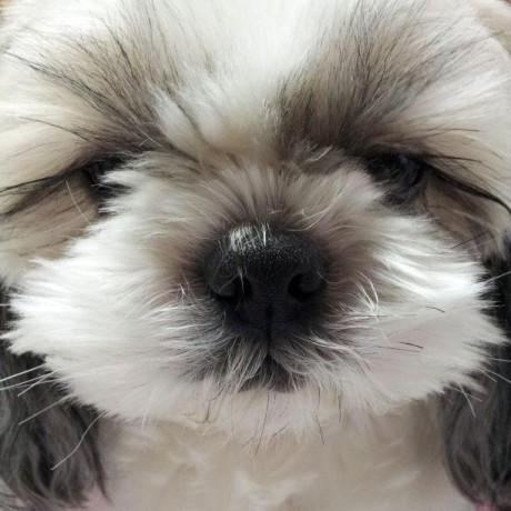 Nagano564 Kenny Nagano Github - Creative Light Illustration - High Resolution