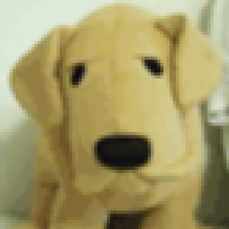 10ny Jun Yamaguchi Github - Premium Gradient Picture Gallery - High Resolution