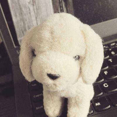 Github Kmyk Competitive Programming Library Kimiyuki S Library For - Ocean Arts - High Quality 4K Collection