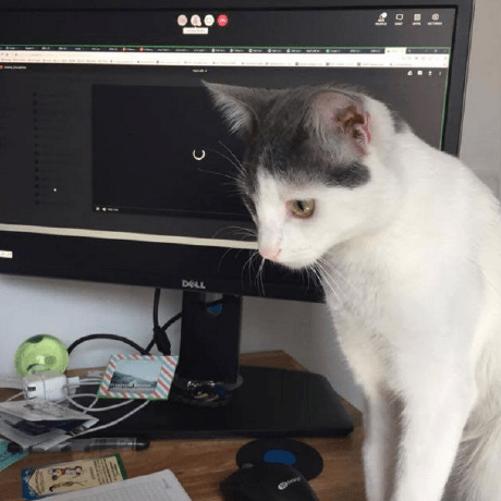 Lady Bird1 Github - Stunning Retina Abstract Patterns | Free Download