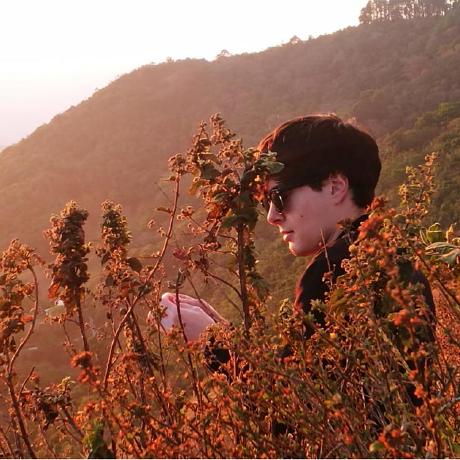 Evan Matthews Github - Sunset Picture Collection - Mobile Quality