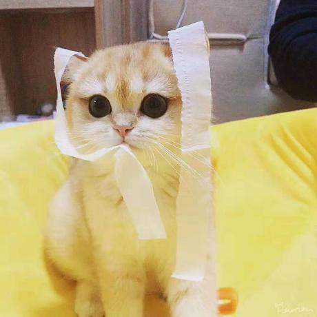 Yoannjly Yoann Joly Github - Perfect Light Picture - Retina