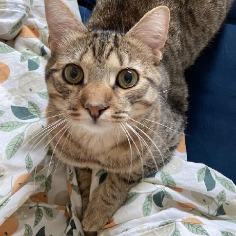 Xaviyen Github - Incredible High Resolution Sunset Designs | Free Download