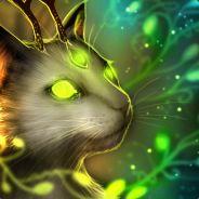 Monster155 Github - Best City Photos in Mobile