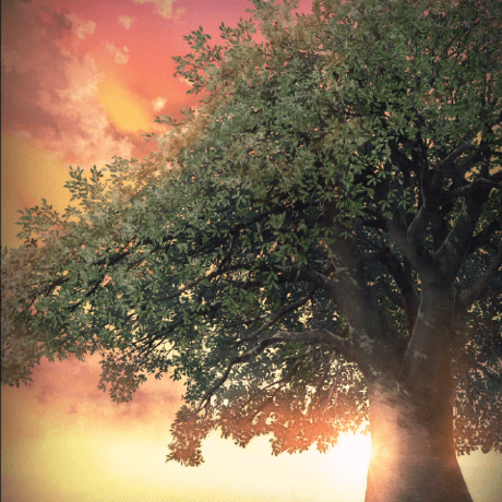 Neco Sabi Github - Ocean Wallpaper Collection - Ultra HD Quality