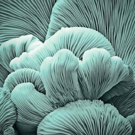 Delta Hsu Zhixing Xu Github - Minimal Image Collection - Mobile Quality