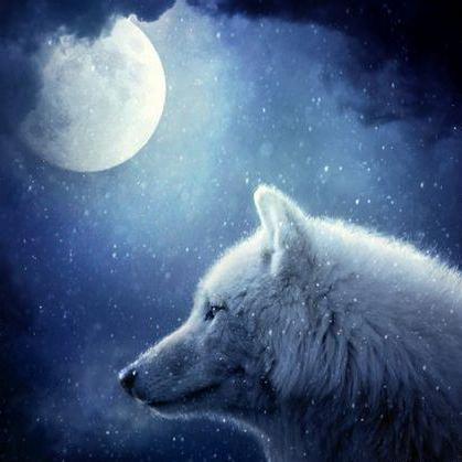 Siyi Xinyu Github - Perfect HD Vintage Photos | Free Download