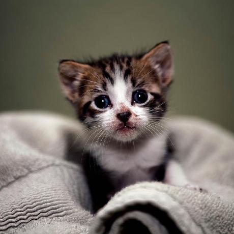 E Dange Github - Stunning Light Picture - HD