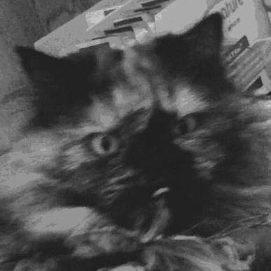 V50 Chifan Github - Vintage Texture Collection - 4K Quality