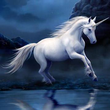 Github Waitusz Rules Store Spechtlite Surge Wingy Shadowrocker - Sunset Texture Collection - Full HD Quality