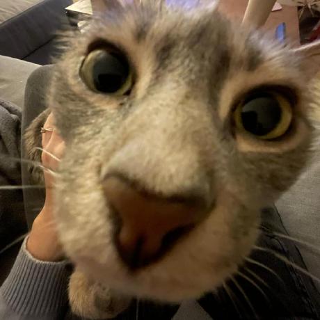 Ryshucdy Ryshu Github - Elegant Full HD Gradient Textures | Free Download