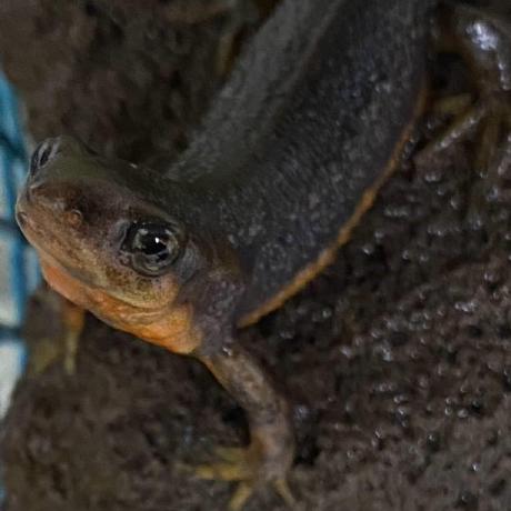 Yasutaka Miyaushiro Github - 8K Sunset Pictures for Desktop