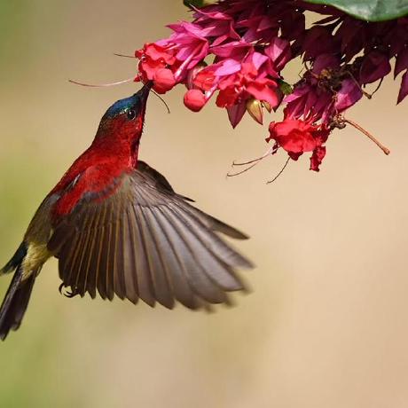 Shehab Moselhy Shehab Elden Moselhy Github - Best Gradient Wallpapers in Full HD