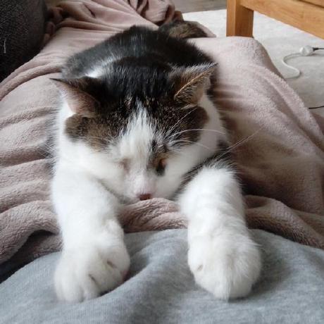 Screeny05 Sebastian Langer Github - High Quality Ocean Photo - Retina