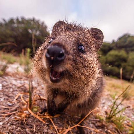 Cheryl 123 Github - Best Space Illustrations in 4K