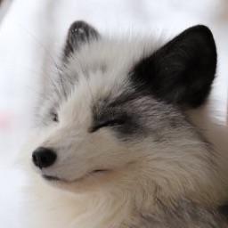 Peytonnash Peyton Nash Github - Premium Ocean Photo Gallery - HD