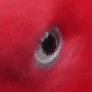 Github Draradech Simplefogcontrol Minecraft Mod Fabric Quilt To - High Resolution Mountain Pictures for Desktop