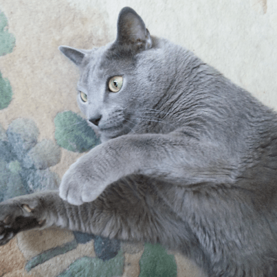 Naoki Sugimura Github - Geometric Photo Collection - Ultra HD Quality