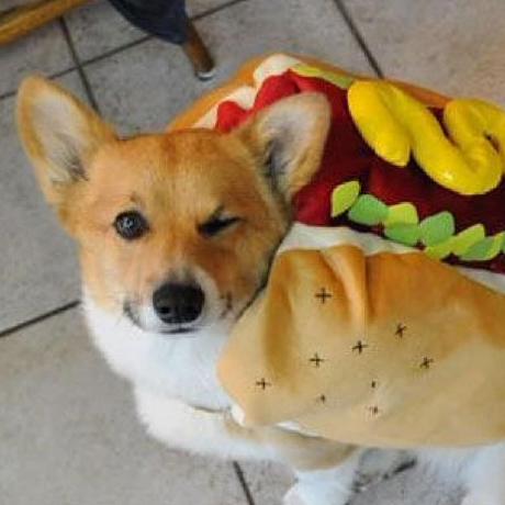 Jasonchan35 Jason Chan Github - Retina Space Designs for Desktop