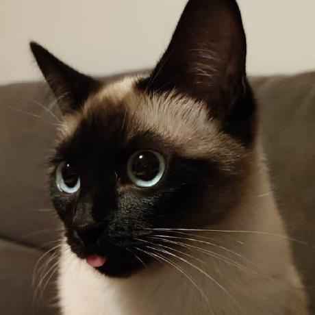 Mr Darwish Github - Download High Quality City Texture | HD