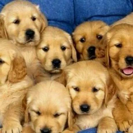 Github Soldier233 Vipsystem A Minecraft Plugin Based Upon Cached - Artistic Space Pattern - High Resolution