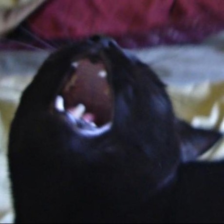 Rf23aam Robert Florea Github - Artistic Minimal Texture - Desktop