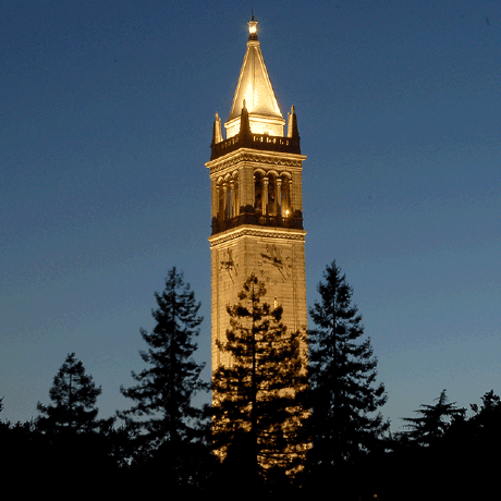 Jolly2023 Jolly Singh Github - Premium Nature Photo Gallery - Desktop