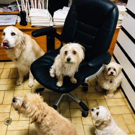 Dnewman1 Douglas Newman Github - High Resolution Space Images for Desktop