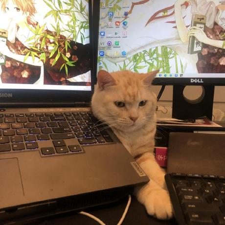 Wanjiazhao1203 Wanjia Zhao Github - Premium Ocean Texture Gallery - Mobile