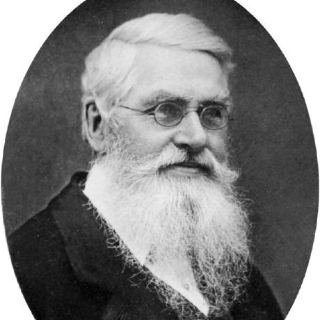 Github Wallaceecomod Wallace An Interactive Reproducible - Download Premium Minimal Wallpaper | High Resolution