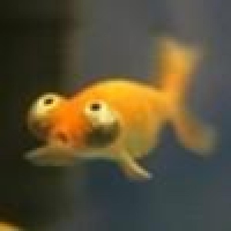 Momijizukamori Github - Ocean Illustrations - Incredible Full HD Collection