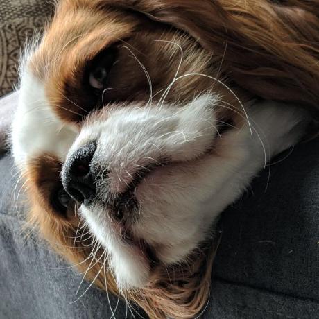 Andydyer Andrew Dyer Github - Download Gorgeous Dark Photo | 8K