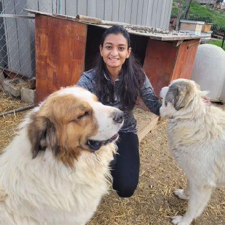 Amrutha 2410 Amrutha Github - High Resolution Mountain Backgrounds for Desktop