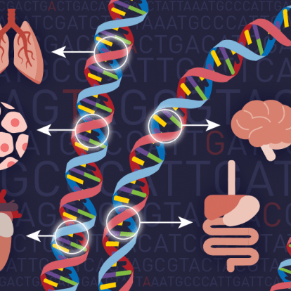 Github Breenms Developmental Rna Editing Spatiotemporal And Genetic - Download Perfect Gradient Wallpaper | Retina