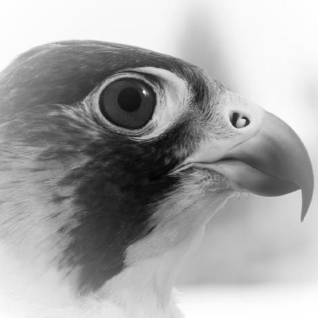 Github Maccraft123 Cadmium - Modern Landscape Pattern - 8K