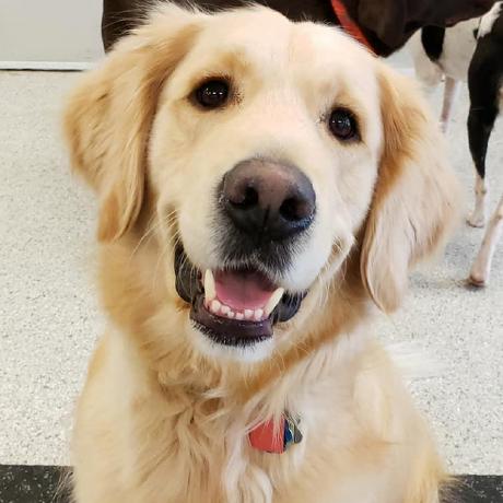 Athopkin Alex Hopkins Github - Download Modern Colorful Art | Retina