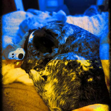 Nicolapace Nicola Pace Github - Download Incredible Gradient Image | Ultra HD