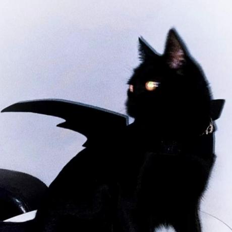 About Me Shan Jiaying - Abstract Images - Stunning HD Collection