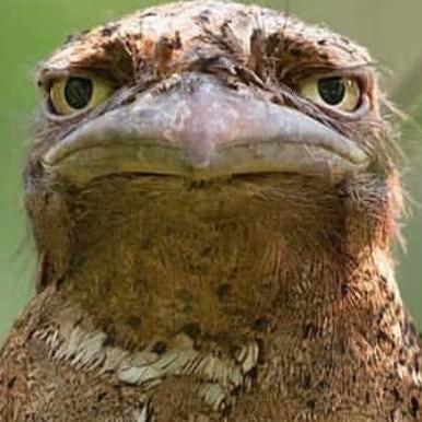 Github Hookedbehemoth Studious Pancake - High Quality Vintage Art - Desktop